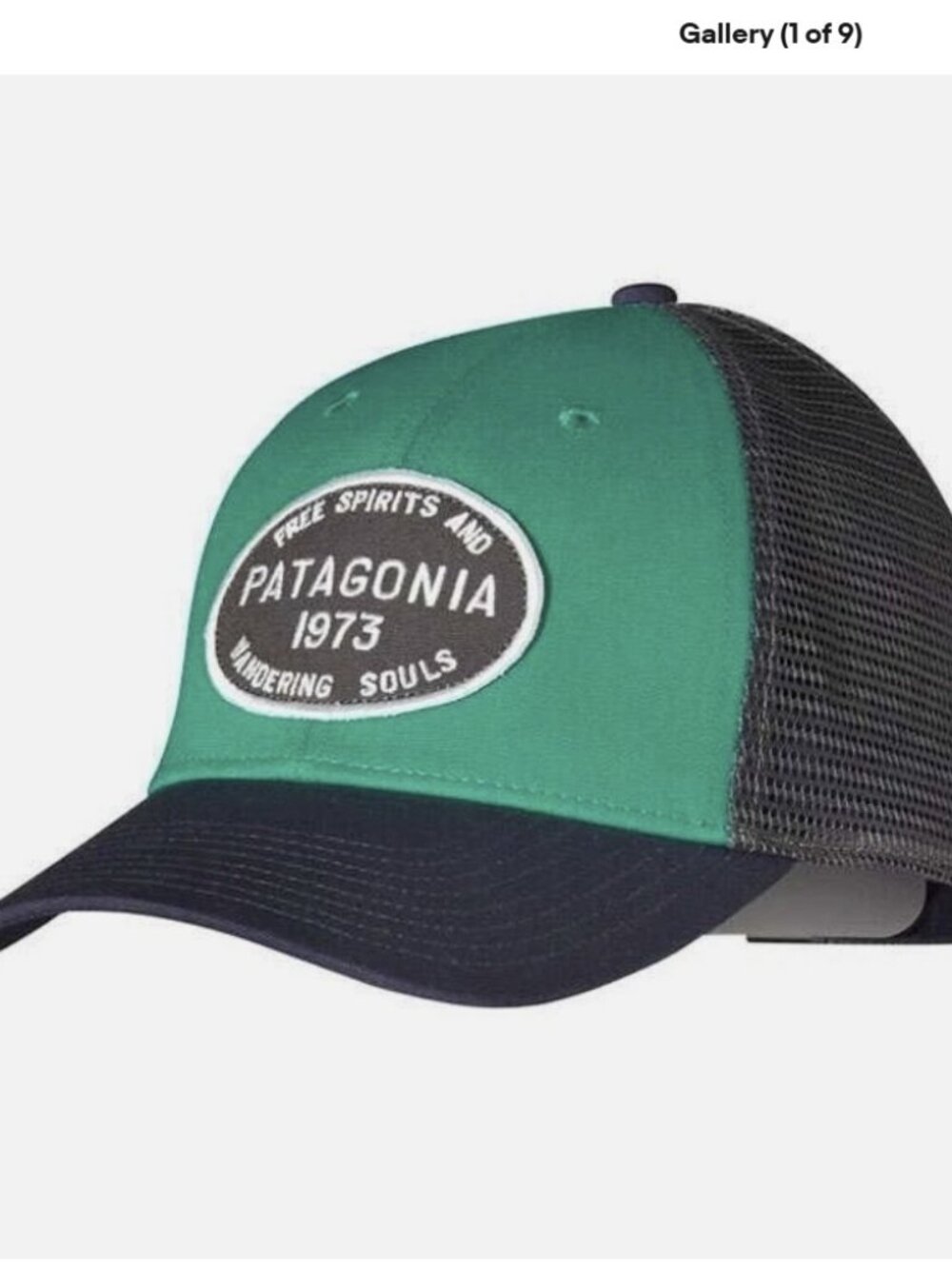 Patagonia Hog Tag Free Spirits & Wandering Souls Lopro Trucker Hat